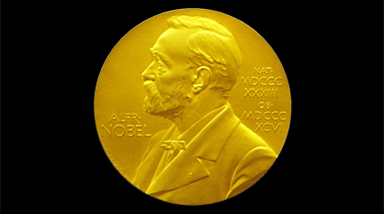 Stormer Wins Nobel Prize
